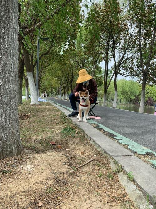 秋田房产合肥市市场分析与建议