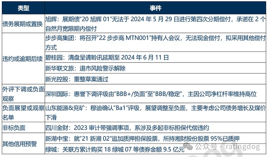 新城控股借款策略分析稳健财务管理与市场应对