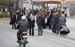 五一旅游热潮背后的社会心理与教育调整增设春假与秋假的必要性探讨