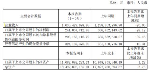 **亿元级项目即将竣工就业新机遇与区域发展展望**