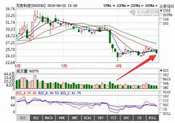 万安科技股价下跌与主力净流出市场调整中的机遇与挑战