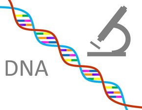 探索生命科学的新疆域，揭秘生物工程的定义与深远影响