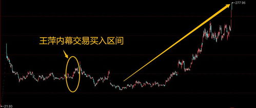 高管再传被查白云山股价重挫