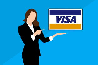 探索 Visa 借记卡，金融自由的新路径与生活便利的催化剂